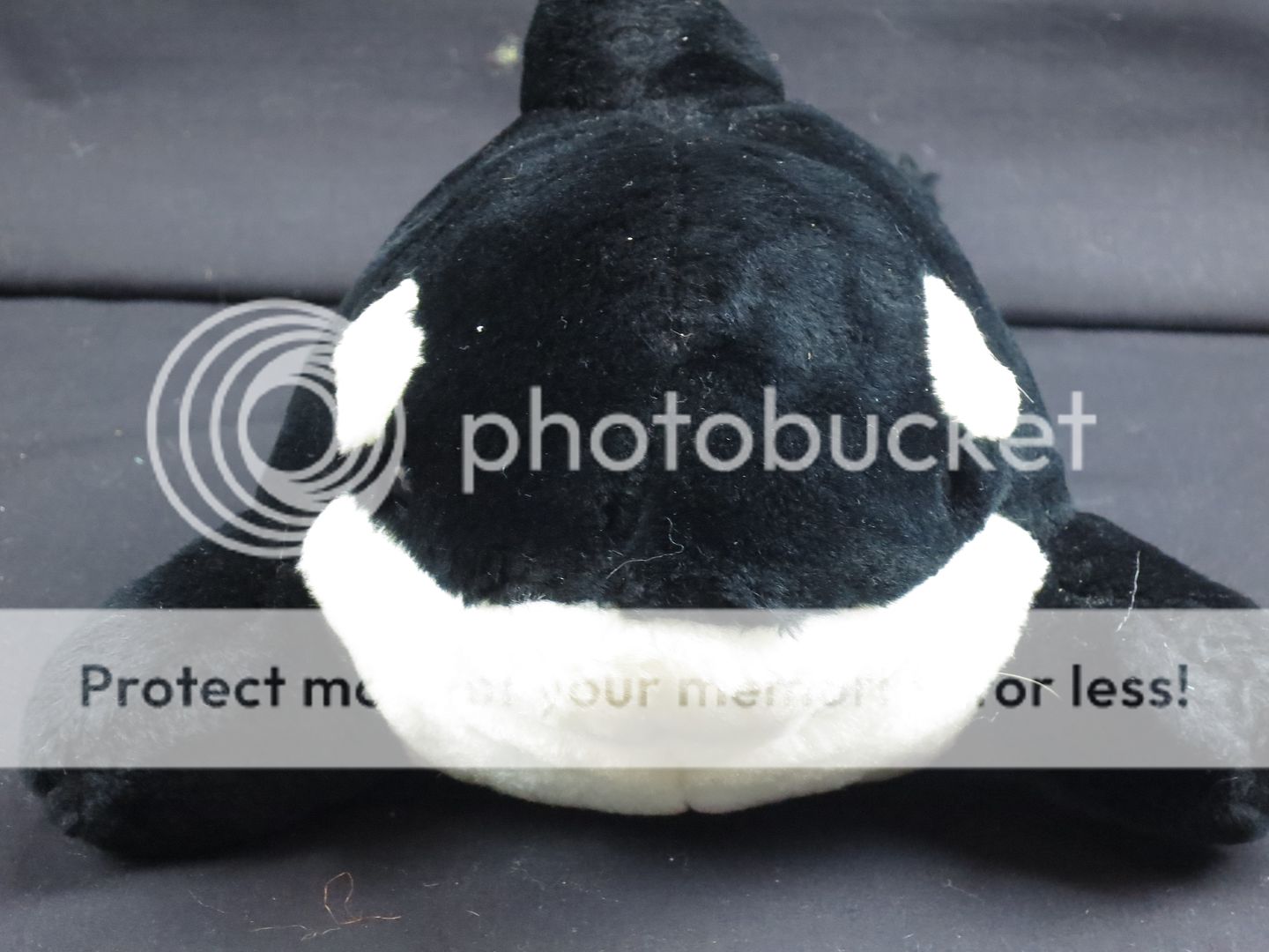 soft toy orca